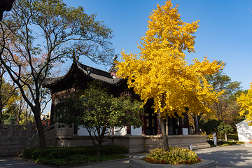 枫桥景区第 3 张图片