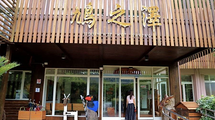 鸠之泽-温泉煮蛋槽第 1 张图片