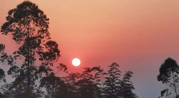 天府茶灵谷度假区