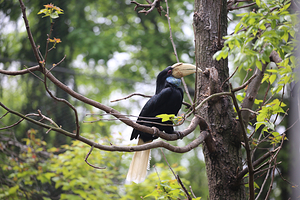 红山森林动物园