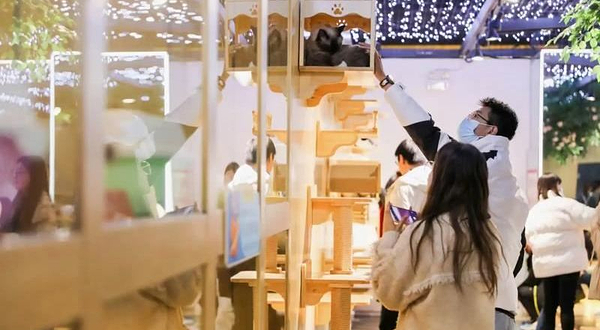 猫咪博物馆·神兽羊驼主题馆(晋城万达店)