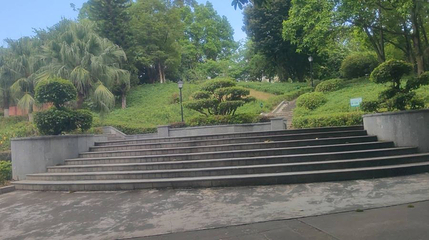 大岭山公园第 1 张图片