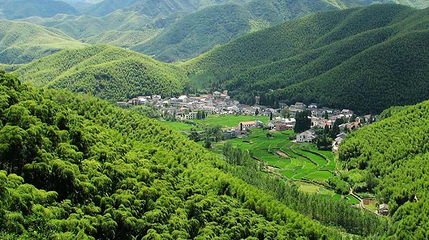 德清后坞村景区第 1 张图片