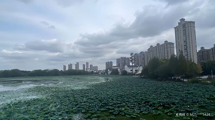 湖北潜江梅苑第 1 张图片