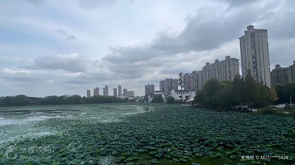 湖北潜江梅苑第 3 张图片
