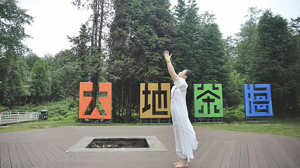 大地茶海餐厅第 11 张图片