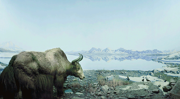 The Academy of Natural Sciences of Drexel University