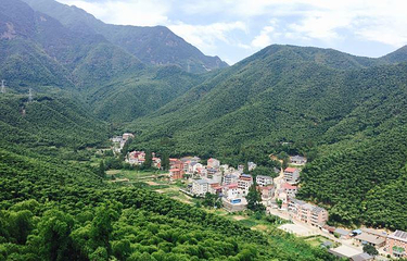 中国大竹海景区第 17 张图片
