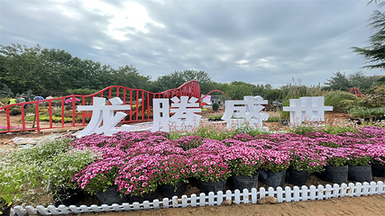 中国国花园第 51 张图片