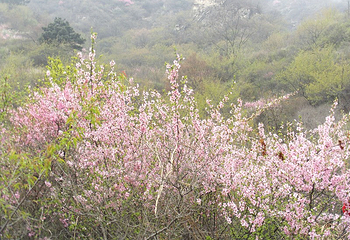 北京药王谷风景区第 63 张图片