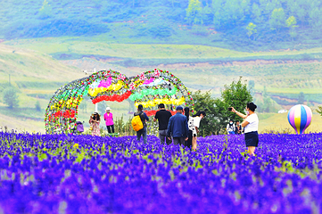 上山庄花海第 27 张图片