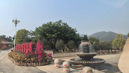 漳州东南花都第 27 张图片