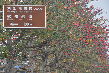 钦州老街景区第 13 张图片