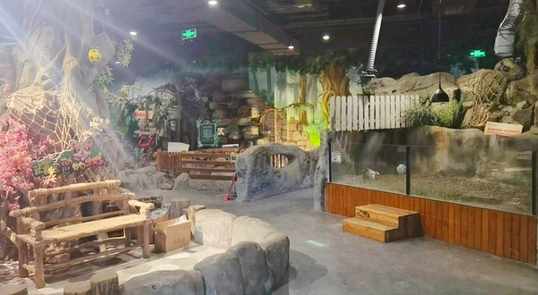 Zoo-paw动物主题乐园