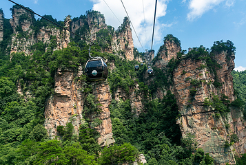 天子山风景区第 49 张图片