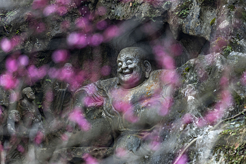 灵隐飞来峰景区第 11 张图片