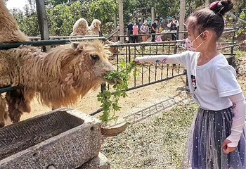 文昌湖萌宠动物园第 3 张图片