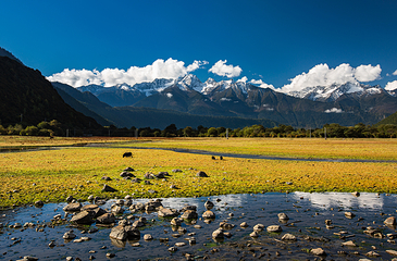 巴松措第 36 张图片