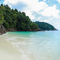 丛林海滩