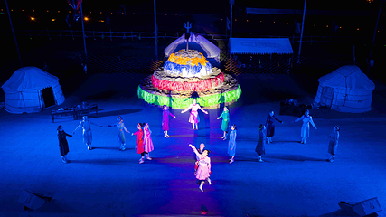 乌兰布统之夜第 51 张图片