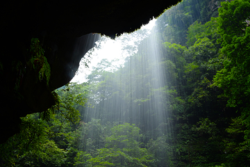 碧峰峡景区第 86 张图片