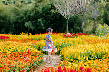花谷奇缘第 88 张图片