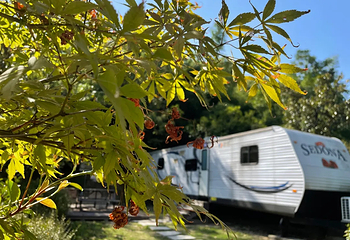 途居湘潭昭山房车露营地(半山大道分店)第 5 张图片