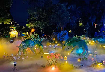 锦绣安仁奇境花园第 52 张图片