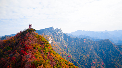少华山国家森林公园第 39 张图片