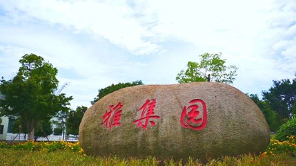 常州花博会第 8 张图片