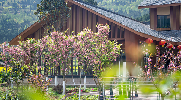 华侨城双旗美村