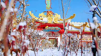 阿唛龙幻想乐园第 24 张图片