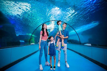 泉城欧乐堡海洋极地世界第 15 张图片