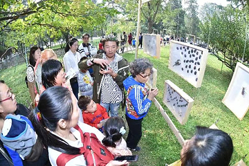 神农百草园·活体昆虫生态博览馆第 8 张图片