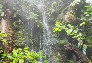 Dan Tewada Land of Angels Waterfall Park第 14 张图片