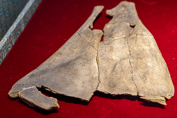 安阳博物馆第 10 张图片