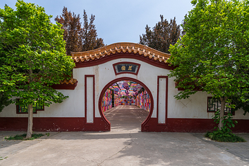神州牡丹园第 3 张图片