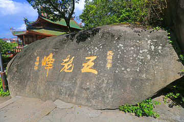 厦门园林植物园第 182 张图片