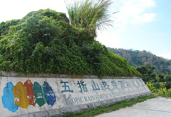 五指山水满河热带雨林风景区第 16 张图片