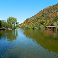 翠枫山自然风景区