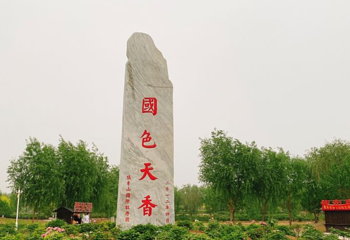 狼牙山牡丹园第 1 张图片