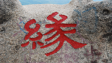 朱雀山国家森林公园第 29 张图片