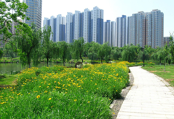 古后河绿廊第 1 张图片