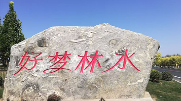 好梦林水微度假体验区