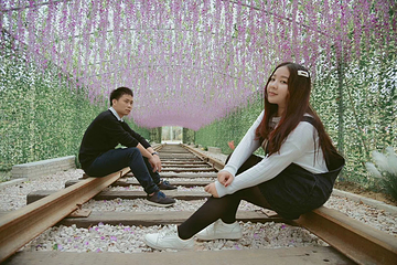 石壁湖禾雀花王国第 6 张图片