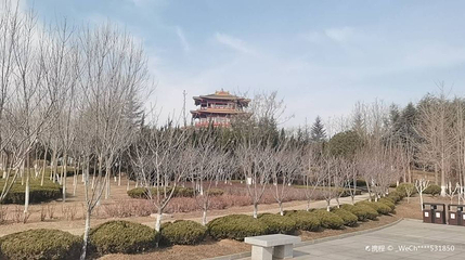 招远市黄金阁公园第 1 张图片