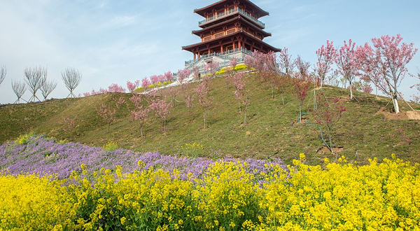 古柏渡丰乐樱花园