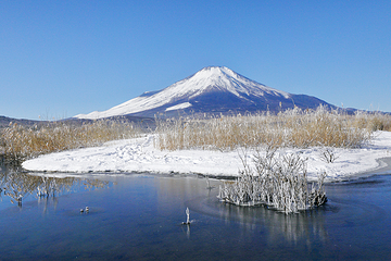 富士山第 58 张图片