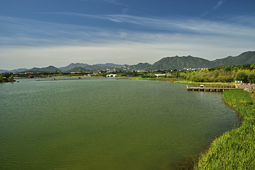 龙泉湖湿地第 17 张图片