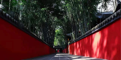 杜甫草堂第 259 张图片